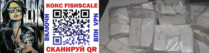 мориарти клад Пучеж КОКАИН Fish Scale